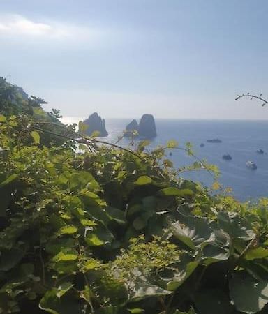 Vila Casa Al Mare Capri Exteriér fotografie