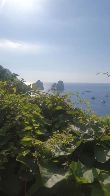 Vila Casa Al Mare Capri Exteriér fotografie